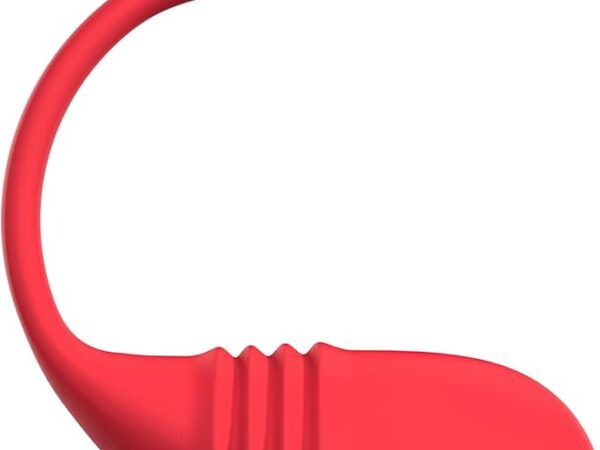 LOVENSE Vulse Vibrator