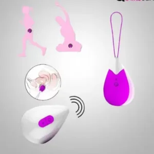 Remote Control Vibrating egg Vaginal